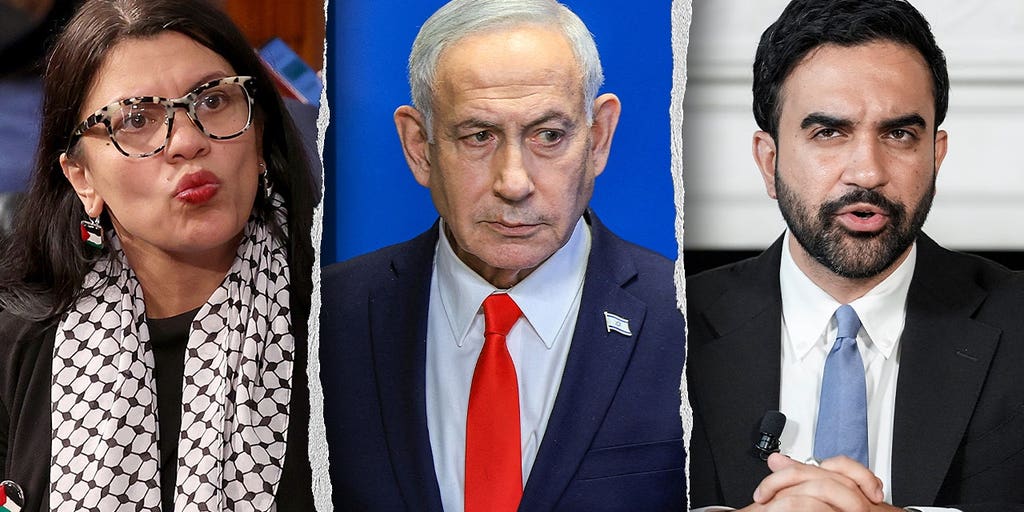 tlaib netanyahu mamdani split