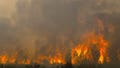 Deadly French wildfires threaten missile plants, nuclear sites as fourth heatwave looms - Fox News