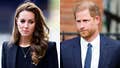 Kate Middleton refuses to pull Prince William back into Prince Harry's 'circus': expert - Fox News