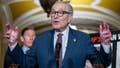 Dems kill Republican's chances of lowering Americans' electricity bills in key election flashpoint - Fox News