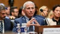 Did Fauci properly take the Fifth? The Senate could put that claim to the test - Fox News