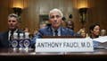 JONATHAN TURLEY: Fauci took the Fifth, but his diary may have already answered for him - Fox News
