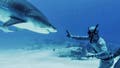 Forrest Galante says most shark bites are a case of mistaken identity as Florida attacks lead the US - Fox News