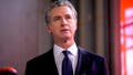 Ex-Newsom mistress exposes wild affair step by step, reveals Kamala Harris advice to stay quiet - Fox News