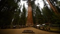 Nevada man dies at famed Sequoia National Park trail after sudden emergency - Fox News