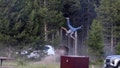 Yellowstone officials decide fate of bison that launched grandfather 8 feet in air - Fox News