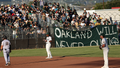 Oakland baseball team will host 'historic' 'family-friendly' marijuana-themed game day - Fox News