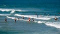 Shark Week advisory as warming seas push blacktips farther north along East Coast - Fox News
