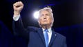 Dave Rubin warns Trump has less than 3 months to push agenda before midterm elections - Fox News