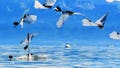 Robot bird swims underwater then flies away - Fox News
