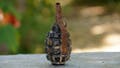 Canadian police politely ask people to stop bringing them unexploded WWII grenades - Fox News
