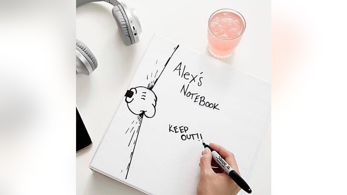 Mark up your work with these fine-tipped permanent markers.