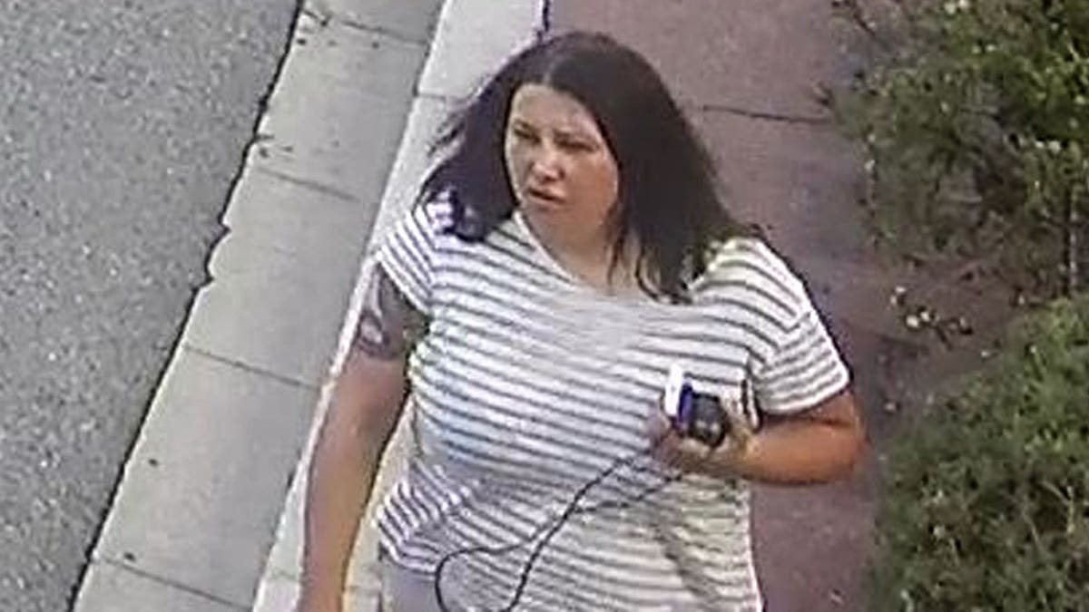 Surveillance footage of Anastasiia Berezovska