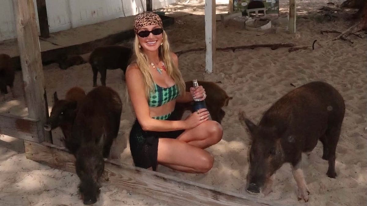 Brittany Aldean crouches in the sand beside several swimming pigs while wearing a green bikini top, black mesh sarong and printed headscarf in the Bahamas.
