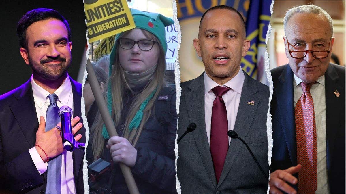 Mamdani, Protester, Jeffries, Schumer