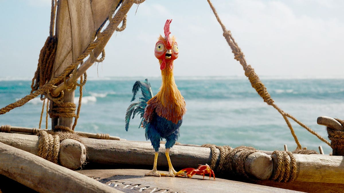 Rooster Heihei in Moana