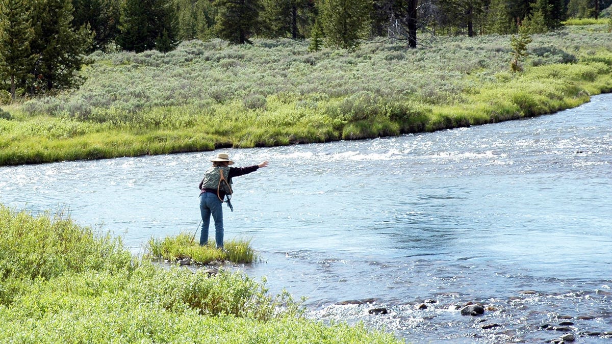 Angler standing inside Yellowstone river