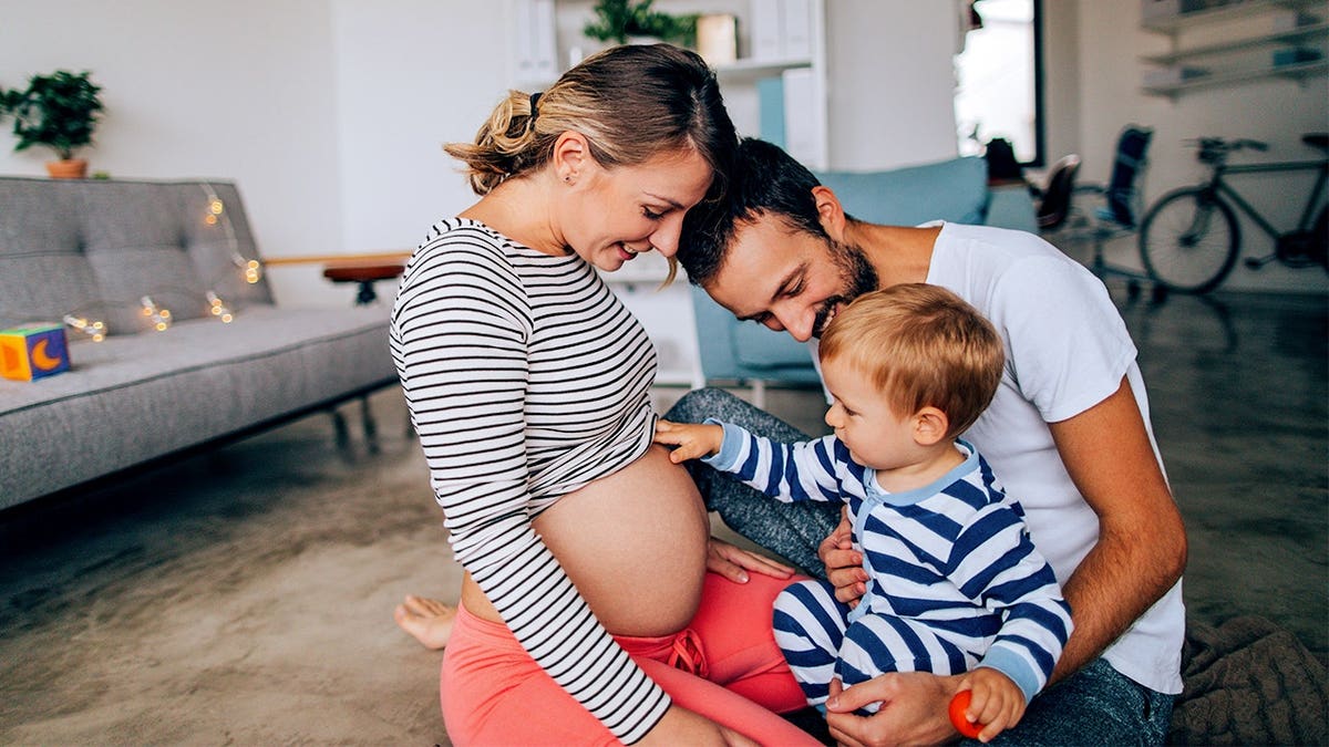 A toddler looks at his mom's pregnant belly while sitting on his dad's lap