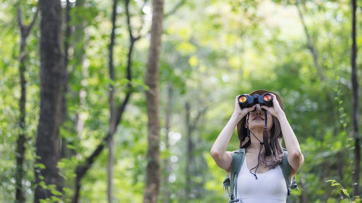 Identify birds more easily with the help of these items.