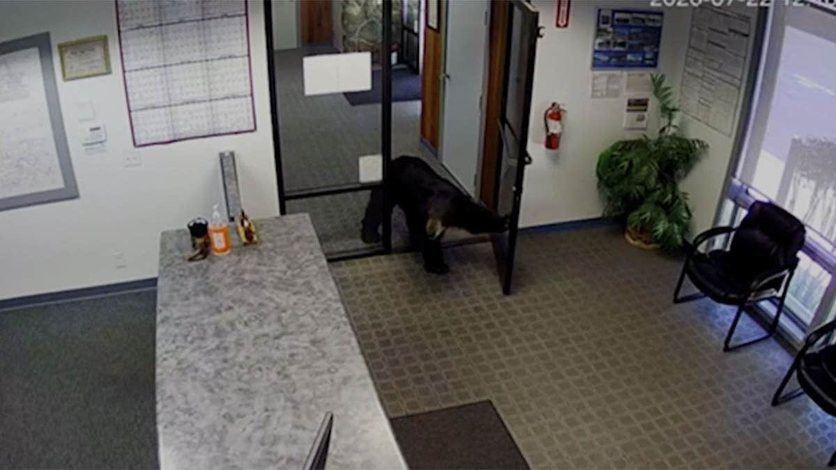 A achromatic carnivore pushes unfastened nan beforehand doorway while leaving nan Crestline Village Water District agency successful California
