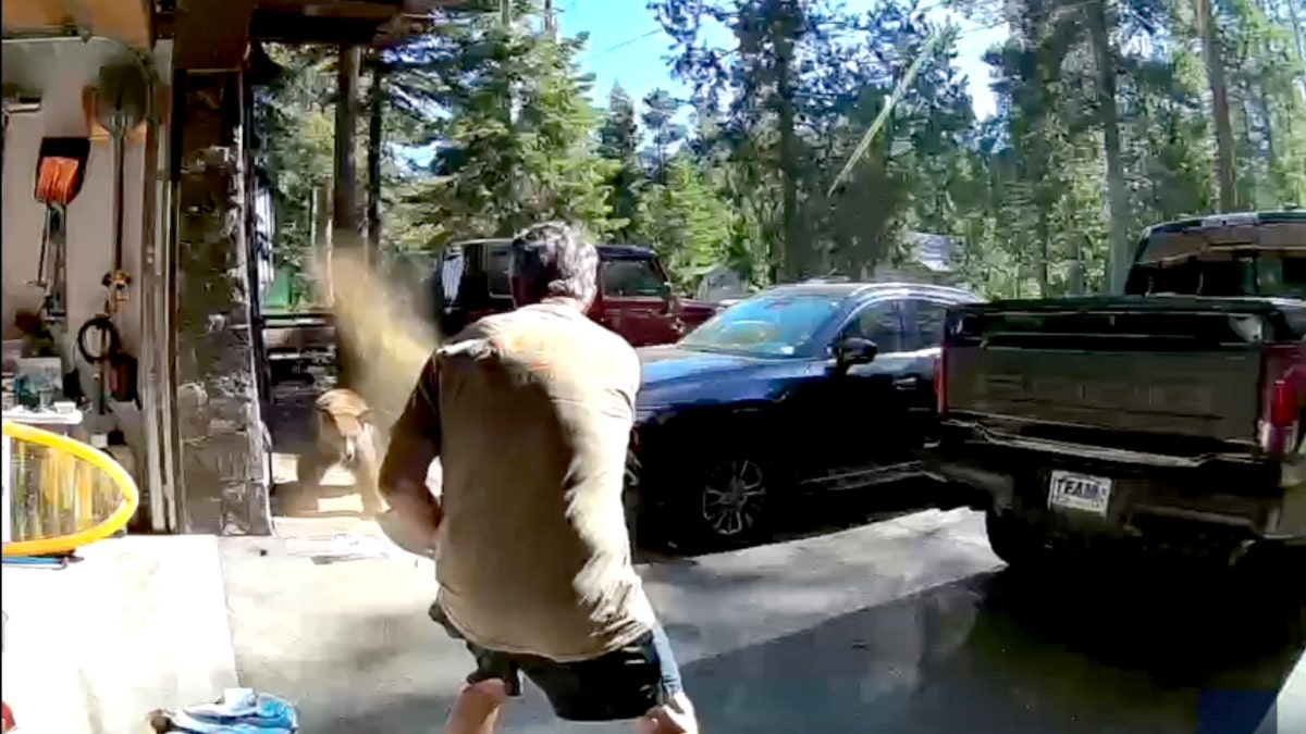 Lake Tahoe man sprays bear