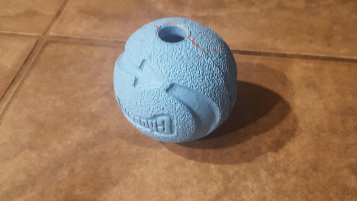 blue dog ball with hole in the top