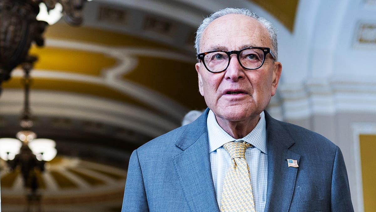 GOP blocks Schumer's effort to ground taxpayer funding for Trump's Qatari Air Force One