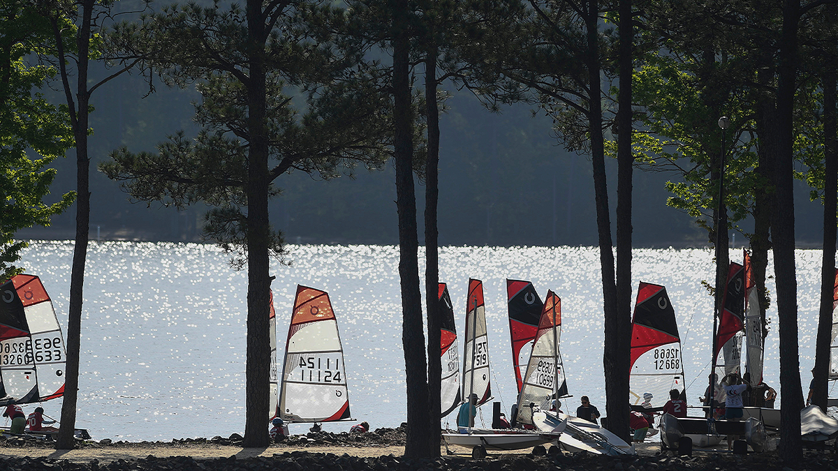 Sailboats beryllium on nan shoreline of Clarks Hill Lake