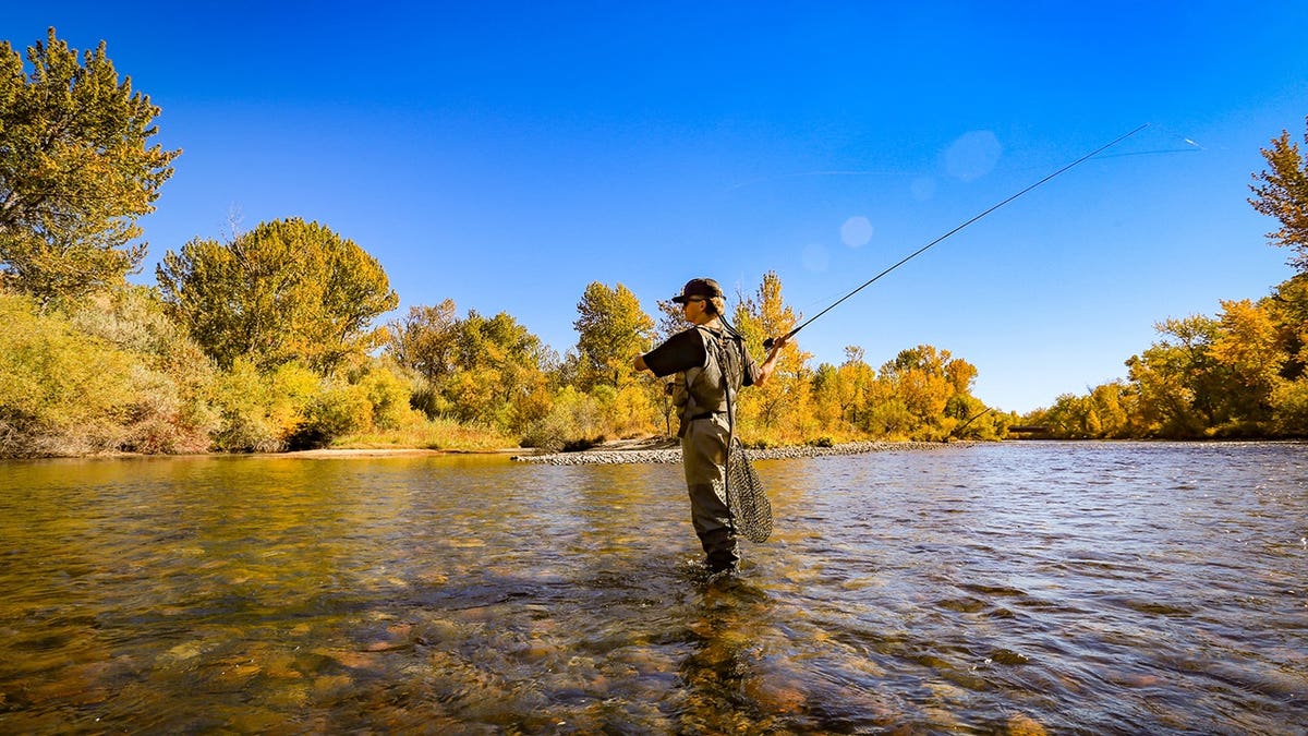 Person fly fishing for rainbow trout along the greenbelt in downtown Boise, Idaho.