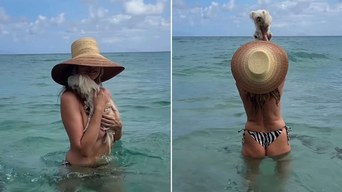 Heidi Klum stands waist-deep successful nan water and lifts a mini achromatic canine supra her caput while wearing a wide-brimmed straw hat.