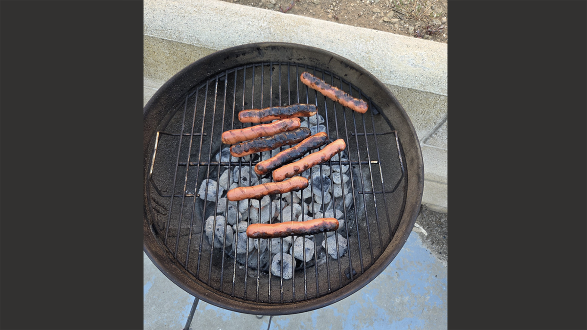 Screencaps reader Jim T in San Diego sends in his heat wave dogs
