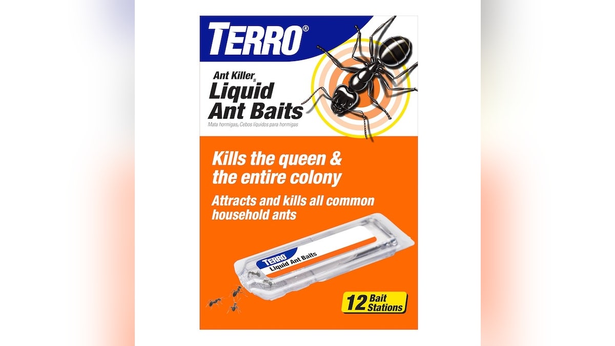 This indoor ant bait will kill the queen and the colony.