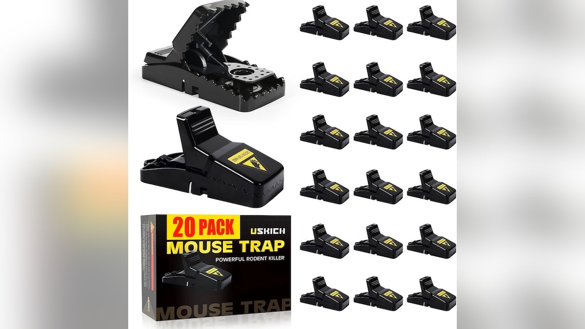 Mouse traps like these can be easier to work with than traditional ones.