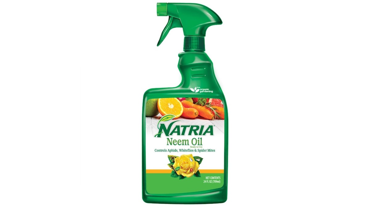 Because neem oil is natural, it can be used on your indoor and outdoor plants.