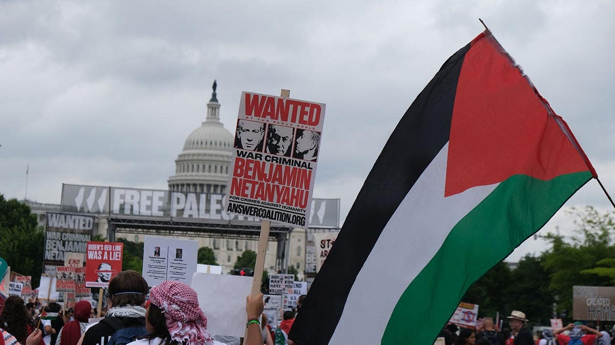 Pro-Palestinian supporters stitchery extracurricular nan U.S. Capitol connected July 24, 2024.