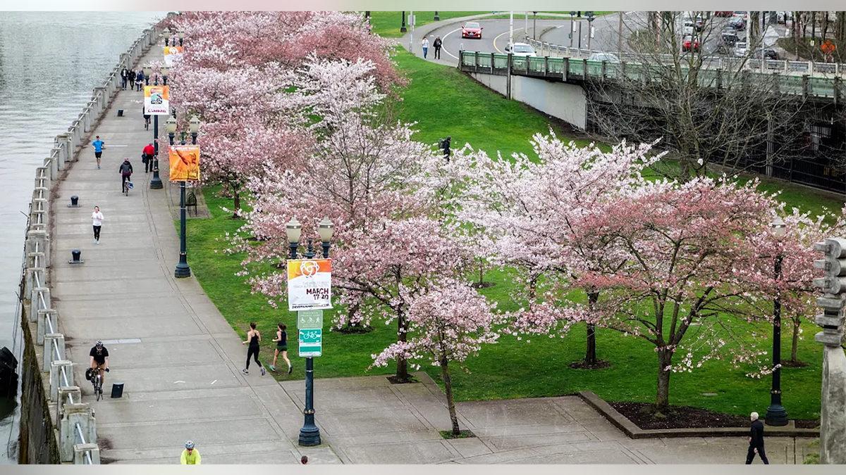 Tom McCall Waterfront Park