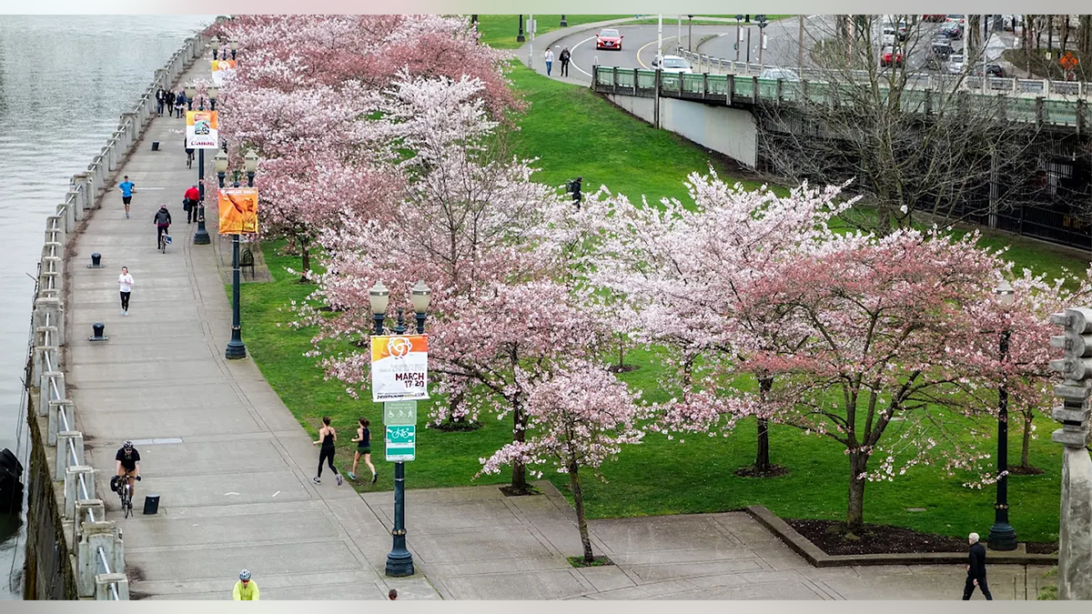 Tom McCall Beach Park