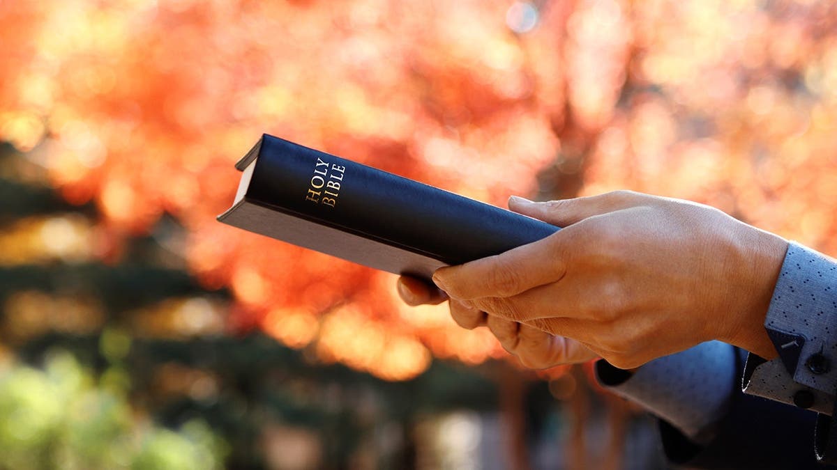 Stock image of person holding Bible outdoors in autumn.