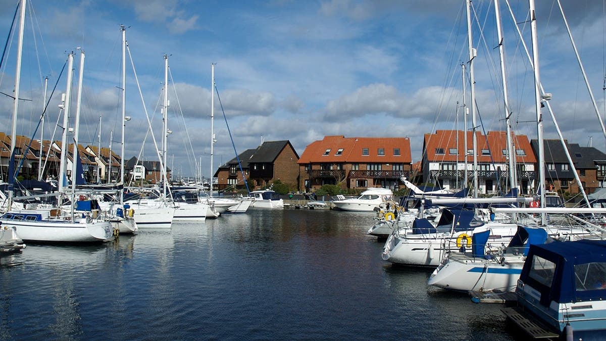 image shows boats at a marina