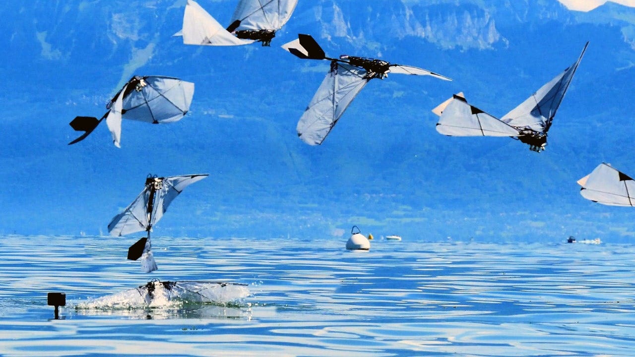 foxnews.com - Kurt Knutsson, CyberGuy Report - Robot bird swims underwater then flies away