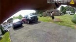 Body camera images show a Meriden police officer pointing his firearm toward a man holding a baseball bat as the suspect stands over a victim lying on the ground during a deadly domestic violence incident in Connecticut.