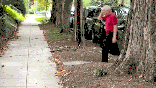 GIF of Fauci walking away