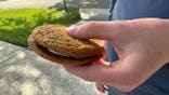 A person holds an Oatmeal Creme Pie.