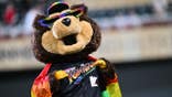 TC Bear wears a rainbow flag at Target Field.