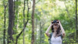 Easily identify any bird you come across with the help of these items.
