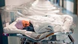 Newborn baby boy in a transparent portable hospital bed.