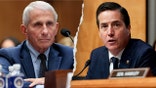Anthony Fauci testifying before a committee while Bernie Moreno speaks at a Senate hearing in Washington, D.C.