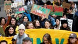 Protest as part of the Global Climate Strike of the movement 'Fridays for Future' in Vienna, Austria