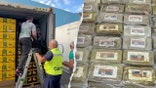 Italian authorities seized roughly 1,700 pounds of cocaine hidden among pallets of bananas at a major port, officials said Tuesday.