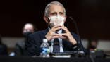 Anthony Fauci listens during a Senate Health, Education, Labor and Pensions Committee hearing.